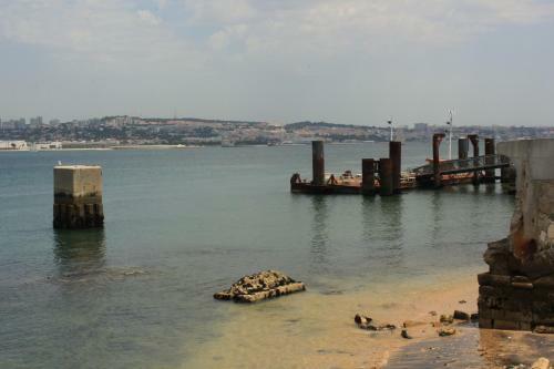 P�ssaro Do Fogo