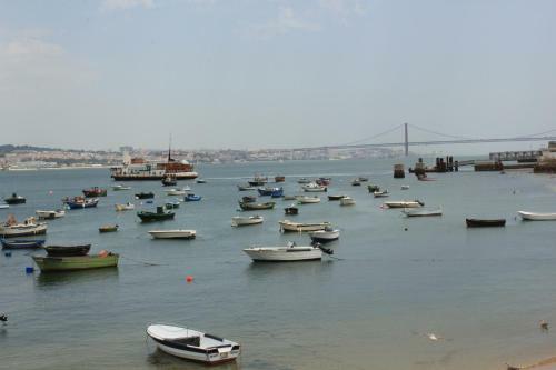 P�ssaro Do Fogo