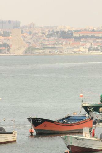 P�ssaro Do Fogo