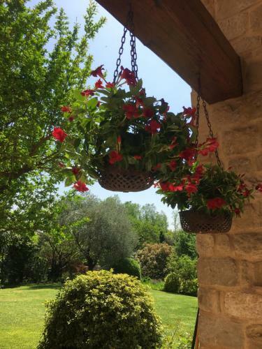 Holiday Home Casa Rebellato