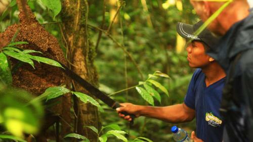 Suchipakari Amazon Eco -lodge & Jungle Reserve