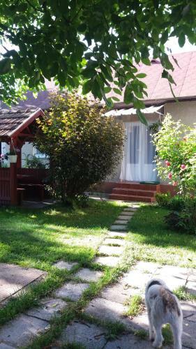 Apartamento Csik�sz Vend�gh�z
