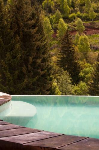 Hotel Hostellerie La Cheneaudi�re & Spa