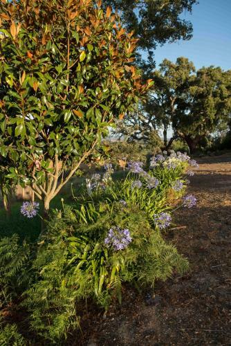 Agroturismo Monte Pedras Negras