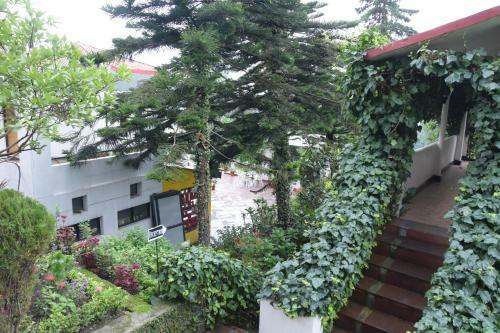 Hotel The Pine Crest