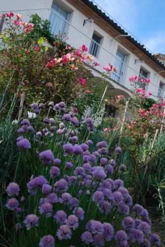 Agroturismo Casarciccia