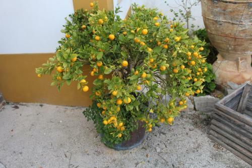 Agroturismo Refugio Da Ti Maria