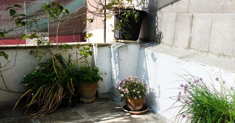 Bed & Breakfast La Casa Della Pecora Nera