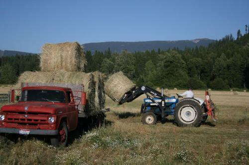 Cedar Mountain Farm Bed And Breakfast Llc