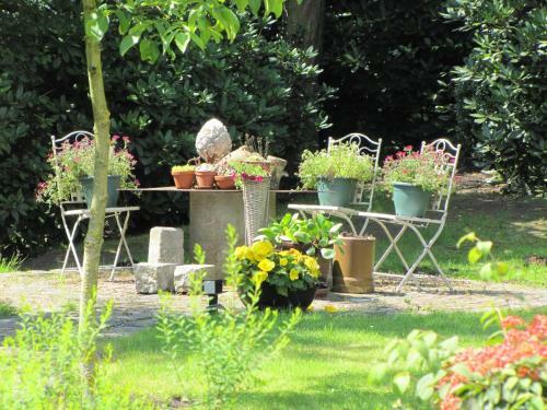 Hotel Gasthof-brasserie de Hoogmolen