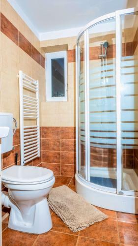 Hostal Vila Stefana Paltinis
