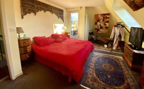 Bed & Breakfast Maison D'h�tes- Little Indonesia