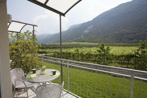 Apartamento Appartamenti Al Vigneto