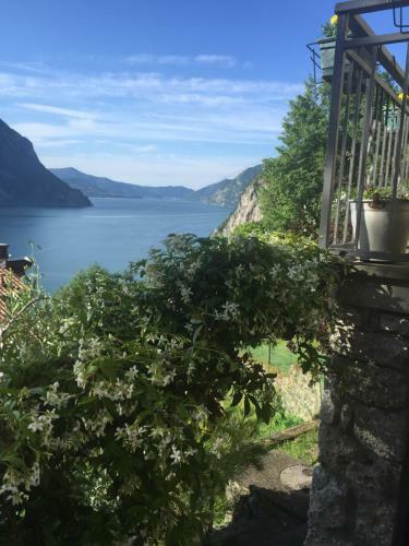 B&B Bellavista