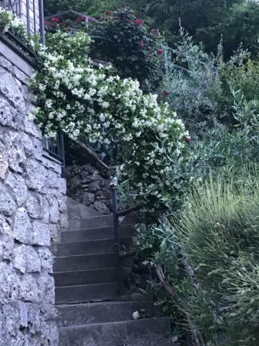 B&B Bellavista
