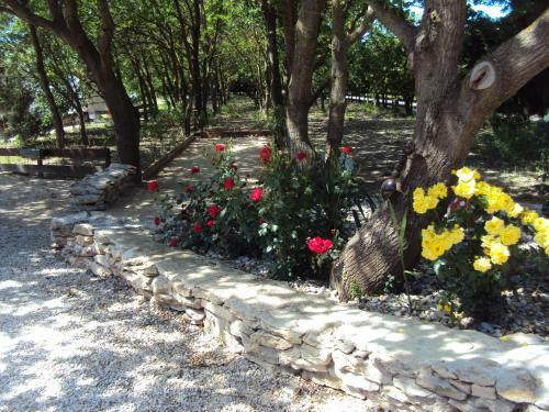 Bed & Breakfast La Douloire