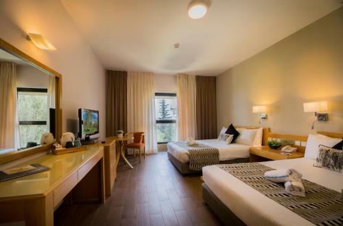C Hotel Neve Ilan