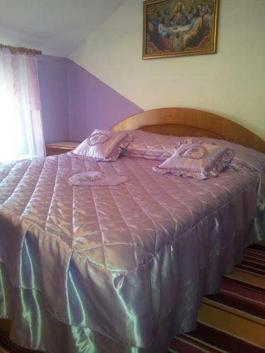 Hostal Pensiunea Floare De Bucovina