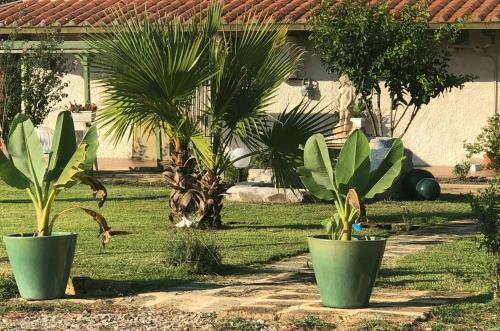 Agroturismo Villa Isabella