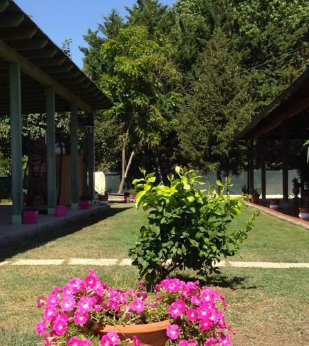 Agroturismo Villa Isabella