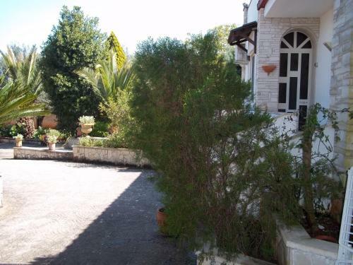 Contrada Macchia B&B