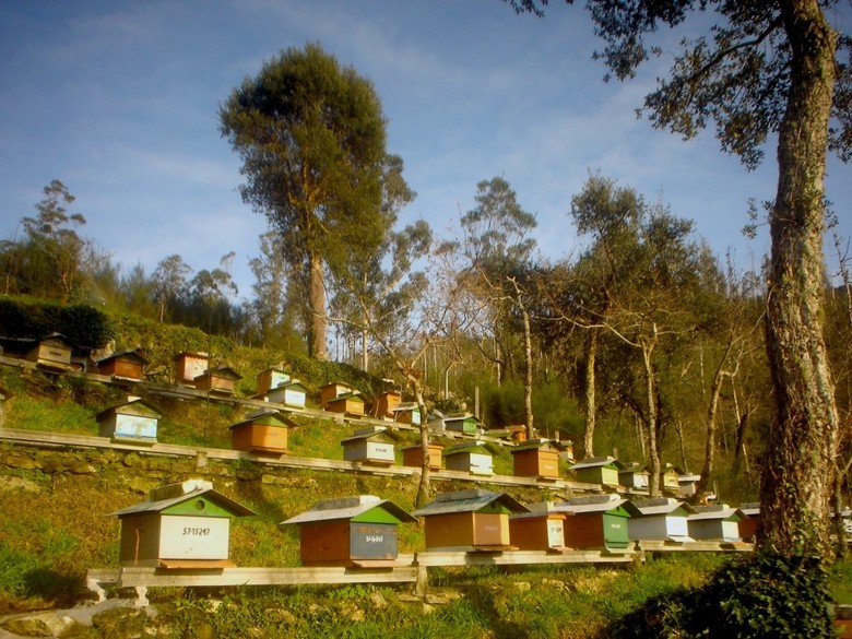 Hotel La Pesquer�a Del Tambre