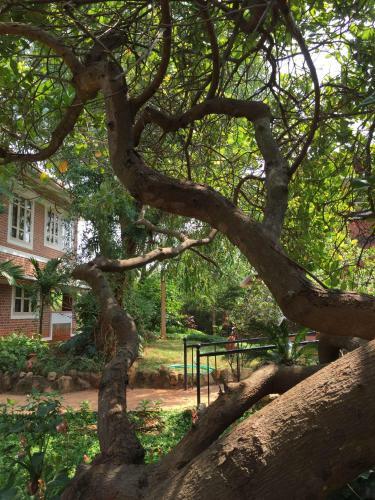 Posada Inn Pondiville Forest Retreat
