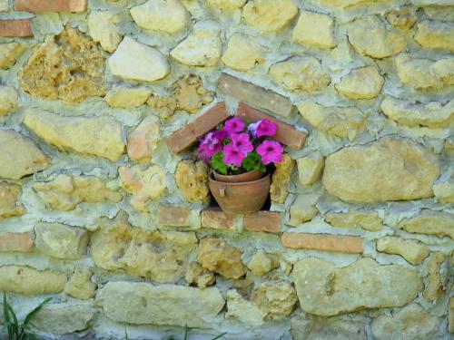 Bed & Breakfast Bricco Dei Ciliegi