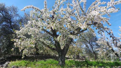 Agroturismo Casas Victor