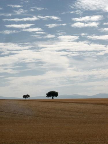 Agroturismo El Camino Real