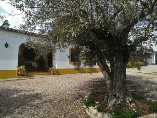 Hostal Quinta Do Cano