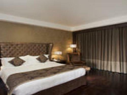 Radisson Blu Hotel, New Delhi