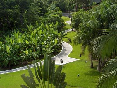 Hotel Loma Del Mar