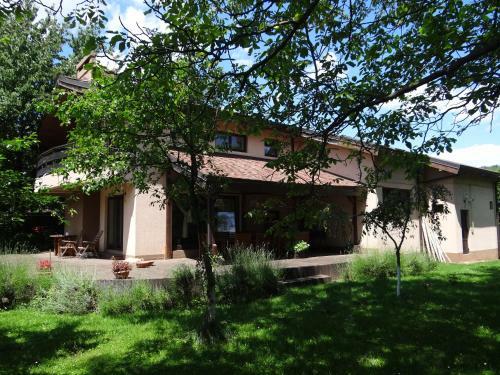 Pensiunea Bamboo - Villa
