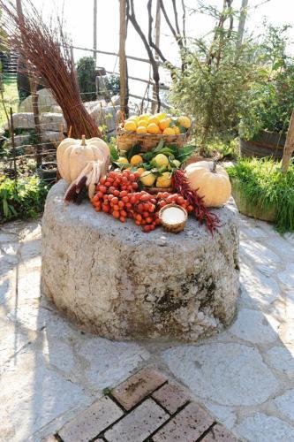 Agroturismo Agriturismo Serafina