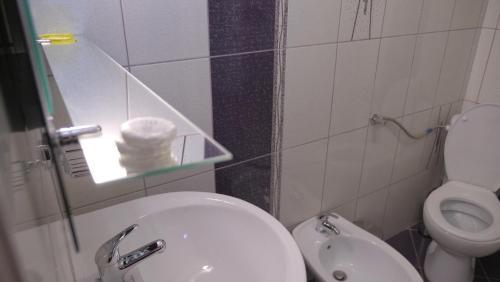 Hostal Pension Musatinii