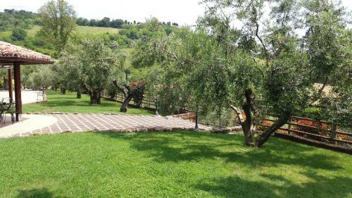 Hostal Agriturismo Poggio Agli Ulivi