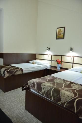 Hotel Valahia