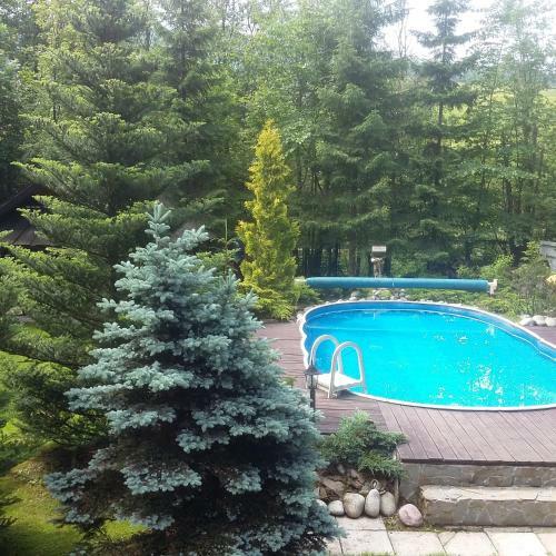 Hostal Willa Limba