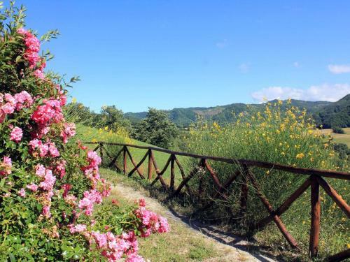 Apartment Ginestra Pennabili