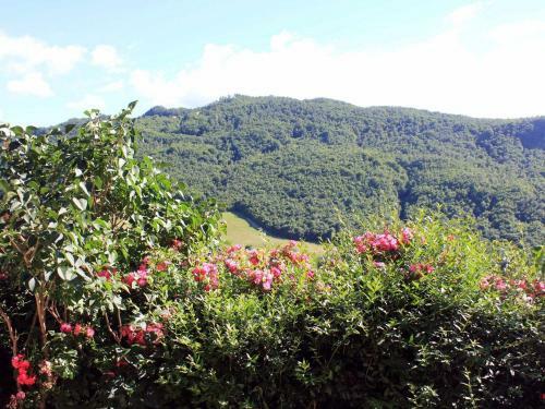 Apartment Ginestra Pennabili