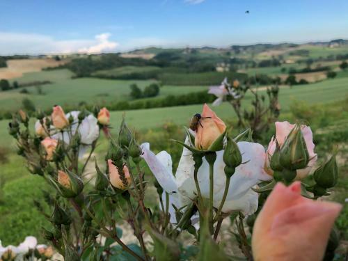 Hostal Cascina Vicentini