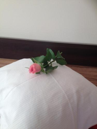 Apartament Bella Nova Centrum