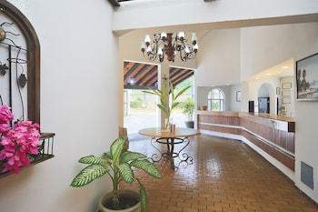 Hotel Vista Vallarta All Suites On The Beach