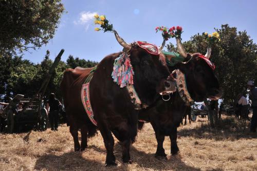 Agroturismo Agriturismo Rocca Su Moru
