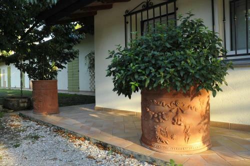 Apartamento Caterina Residence