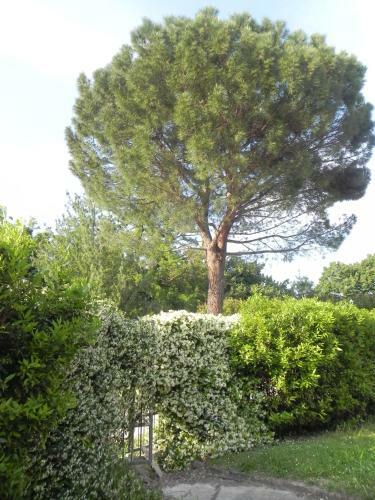 Apartamento Caterina Residence