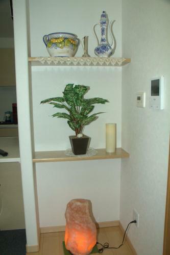 Hostal Posada Casa Eco