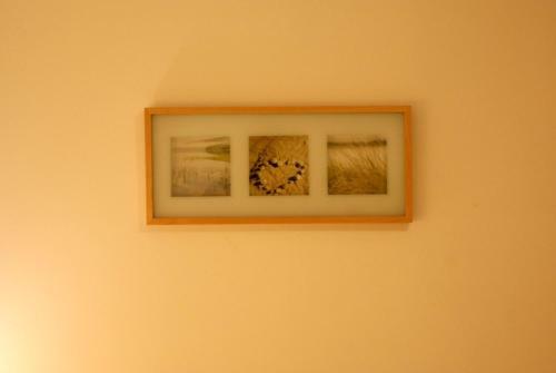 Hostal Dandelion B&B
