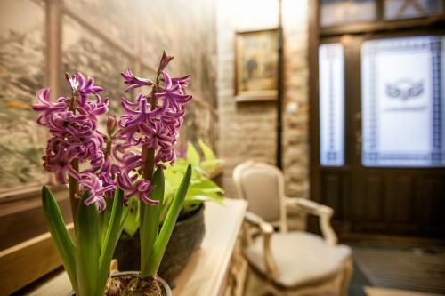 Hostal Kamienica Boutique Aparthotel